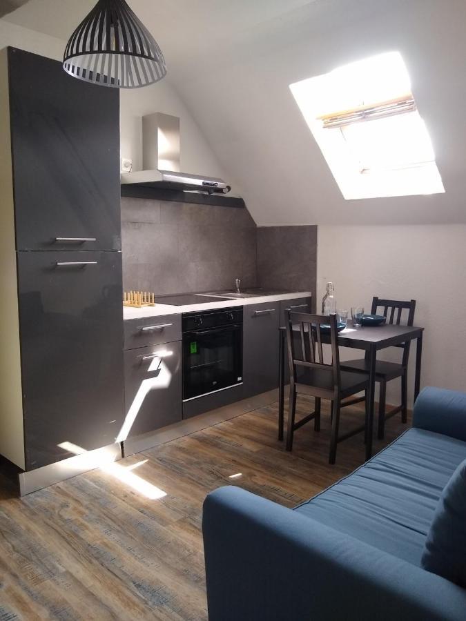 Le Marcel Appartement F1 De 24 M² Choisey Eksteriør billede