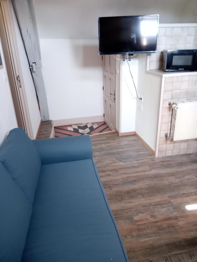 Le Marcel Appartement F1 De 24 M² Choisey Eksteriør billede
